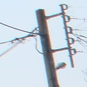 DSC05115.JPG
