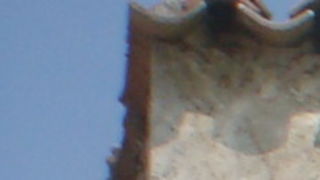 DSC05143.JPG