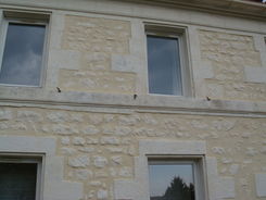 DSC05528.JPG