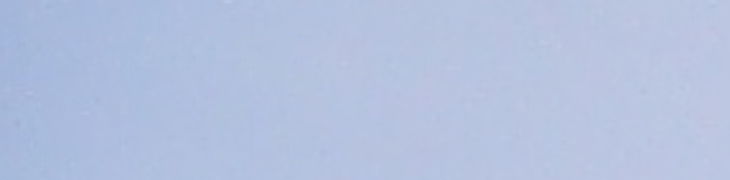 DSC07649.JPG